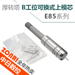 厚轉塔(tǎ)e85 b工位(wèi)可換式上(shàng)模芯