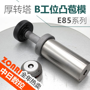 厚(hòu)轉塔(tǎ)e85 b工位(wèi)凸苞模