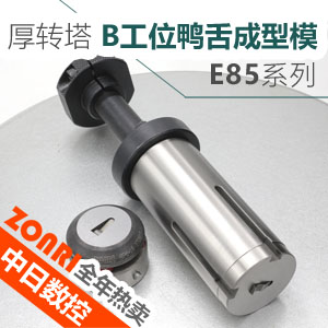 厚(hòu)轉(zhuǎn)塔(tǎ)e85b工位鴨舌(shé)成型(xíng)模