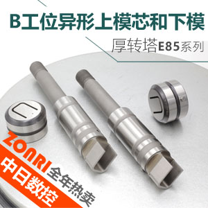 厚轉(zhuǎn)塔e85标準b工(gōng)位異(yì)形上模芯和下(xià)模