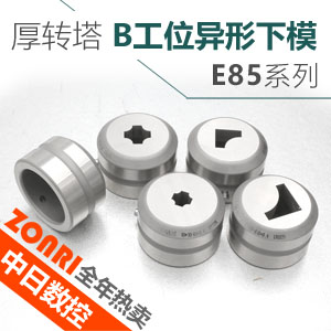 厚轉(zhuǎn)塔e85标準b工位異形下模(mó)